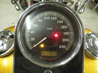 Harley-Davidson Deluxe FLSTN103 2016