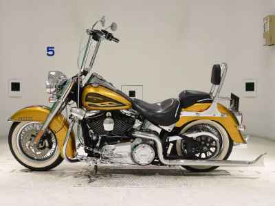 Harley-Davidson Deluxe FLSTN103 2016