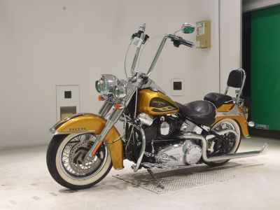 Harley-Davidson Deluxe FLSTN103 2016
