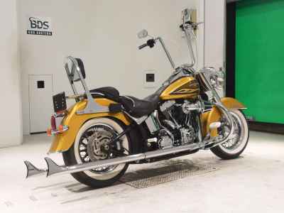 Harley-Davidson Deluxe FLSTN103 2016