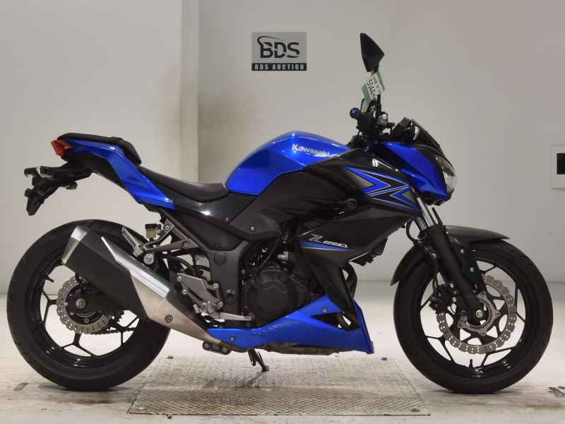 Kawasaki Z250 2015