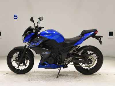 Kawasaki Z250 2015