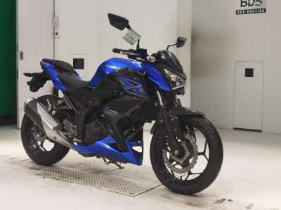 Kawasaki Z250 2015