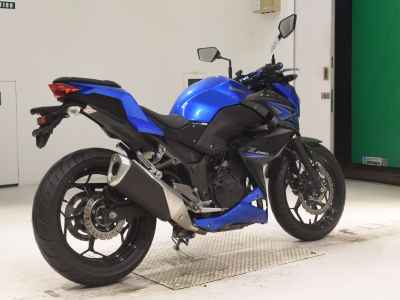 Kawasaki Z250 2015