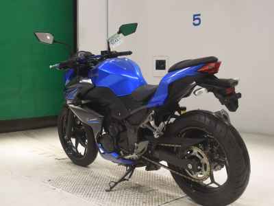 Kawasaki Z250 2015