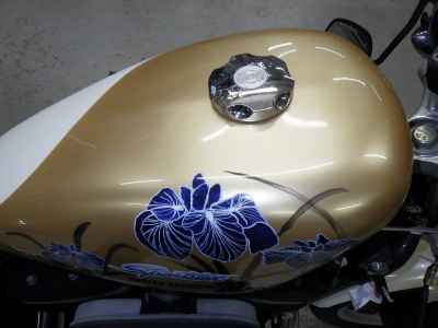 Harley-Davidson Sportster XL883R 2008