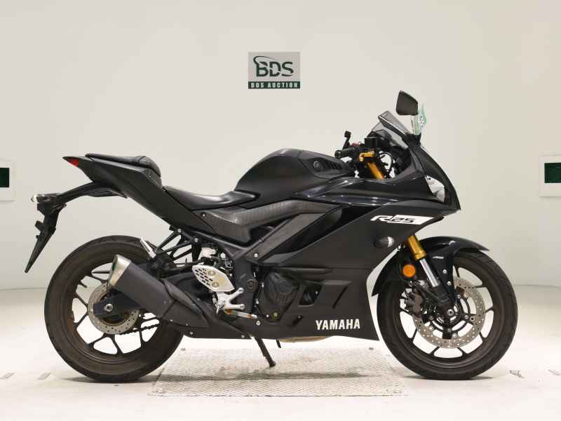 Yamaha YZF-R25 2019