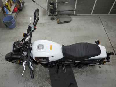 Harley-Davidson X500 2024