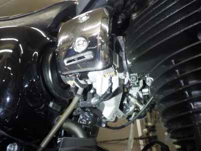 Kawasaki W800 2022