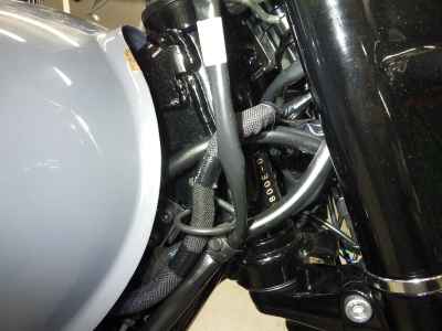 Kawasaki W800 2022