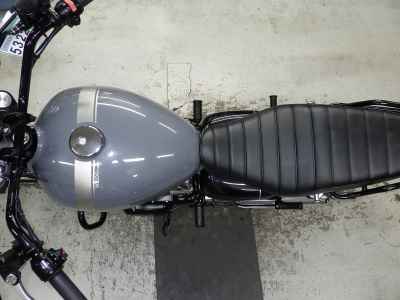 Kawasaki W800 2022