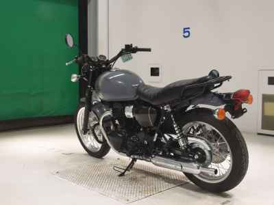 Kawasaki W800 2022