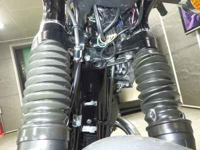 Kawasaki W800 2022