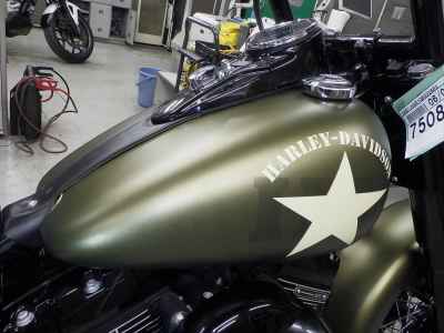 Harley-Davidson Slim S FLSS1800 2016