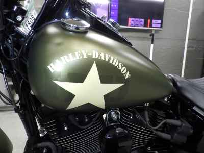 Harley-Davidson Slim S FLSS1800 2016