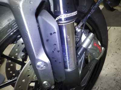Triumph Speed Twin 2021