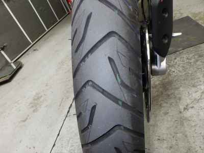 Triumph Tiger 900 Rally Pro 2024