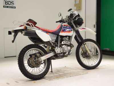 Honda XR250 Baja 1995