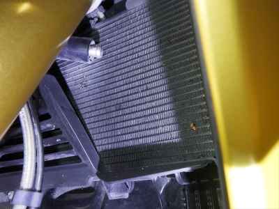 BMW R1250RS 2021
