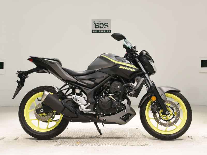 Yamaha MT-25 2018