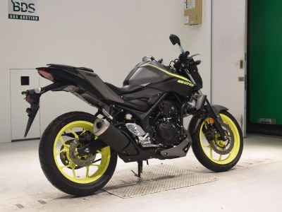 Yamaha MT-25 2018