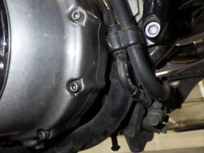 Harley-Davidson Sportster XL883L 2008