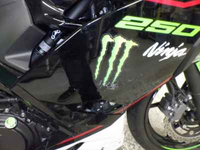 Kawasaki Ninja 250 2021