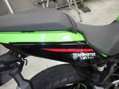 Kawasaki Ninja 250 2021
