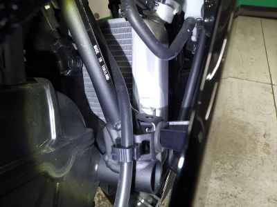 Kawasaki Ninja 250 2021