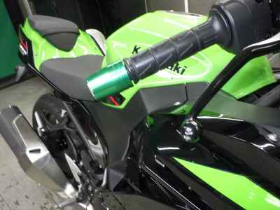Kawasaki Ninja 250 2021