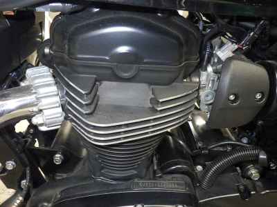 Kawasaki W800 2022