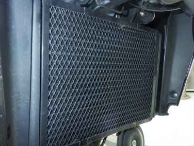 Benelli TRK251 2020