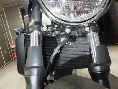 Suzuki SV650X 2019