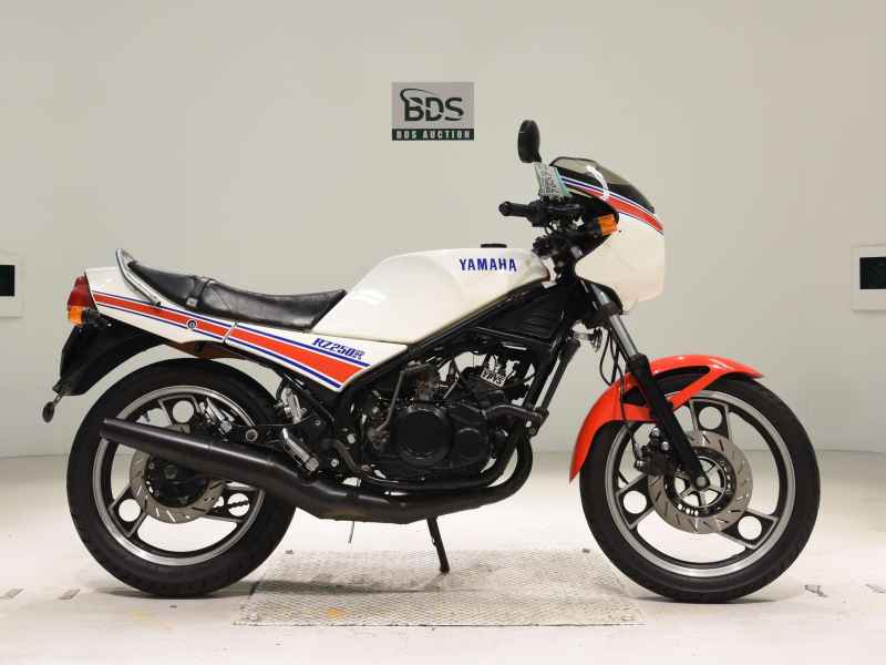 Yamaha RZ250R 1983