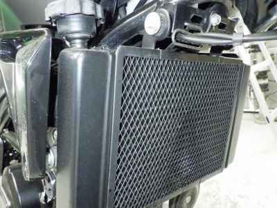Benelli Leoncino 250 2020