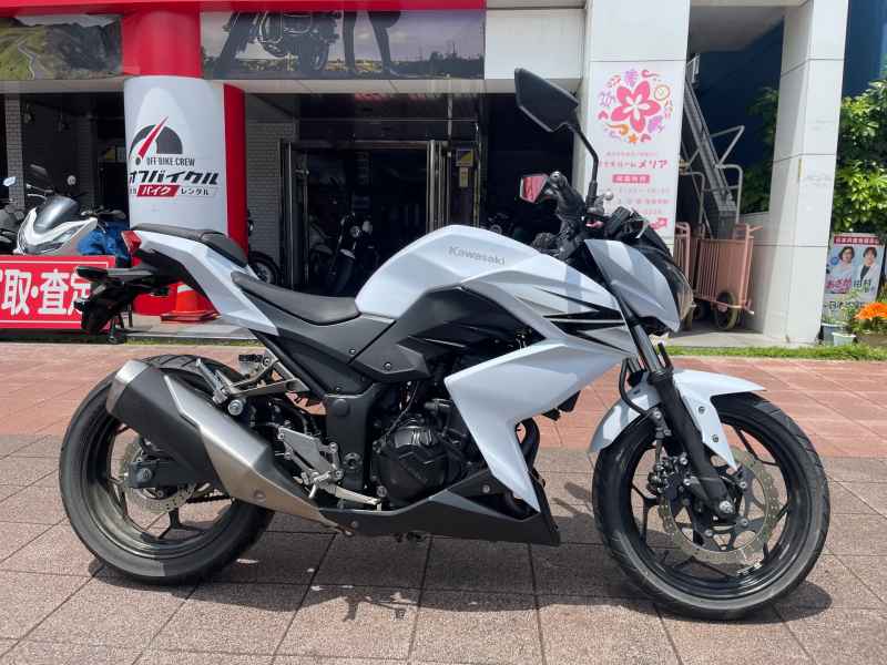 Kawasaki Z250 2013