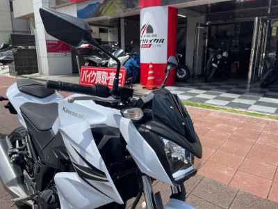 Kawasaki Z250 2013