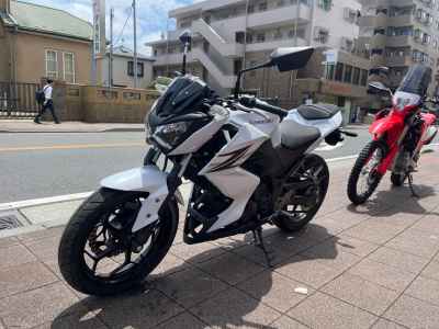 Kawasaki Z250 2013