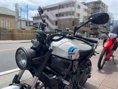 Yamaha XSR700 2024