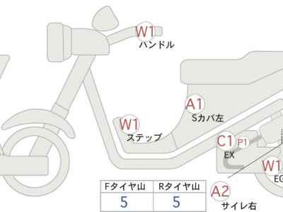 Kawasaki W800 2021