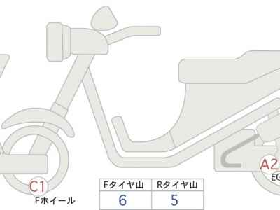 Kawasaki W800 2022