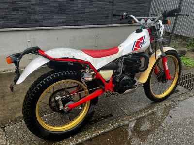 Yamaha TY250 SCOTTISH 1984