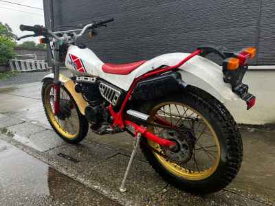 Yamaha TY250 SCOTTISH 1984