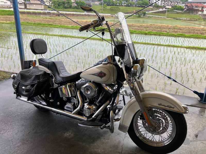 Harley-Davidson Fat Boy FLSTF1450 2001