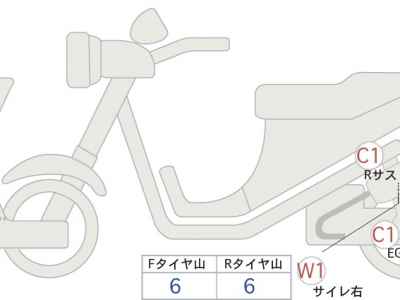Kawasaki W800 2022