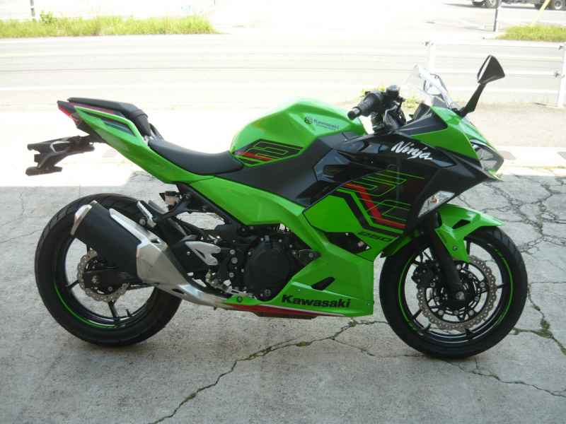 Kawasaki Ninja 250 2023