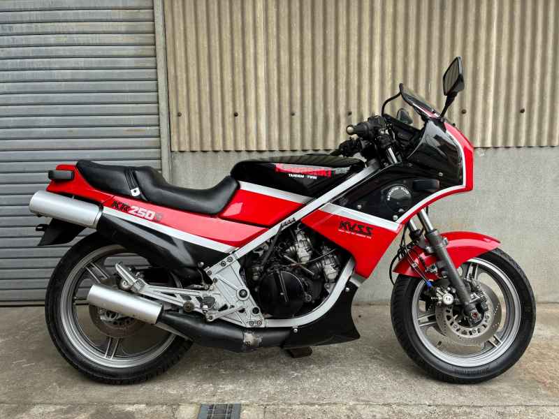 Kawasaki KR250S 1985