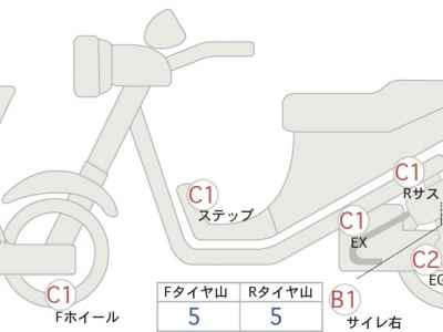 Kawasaki Estrella RS 2008