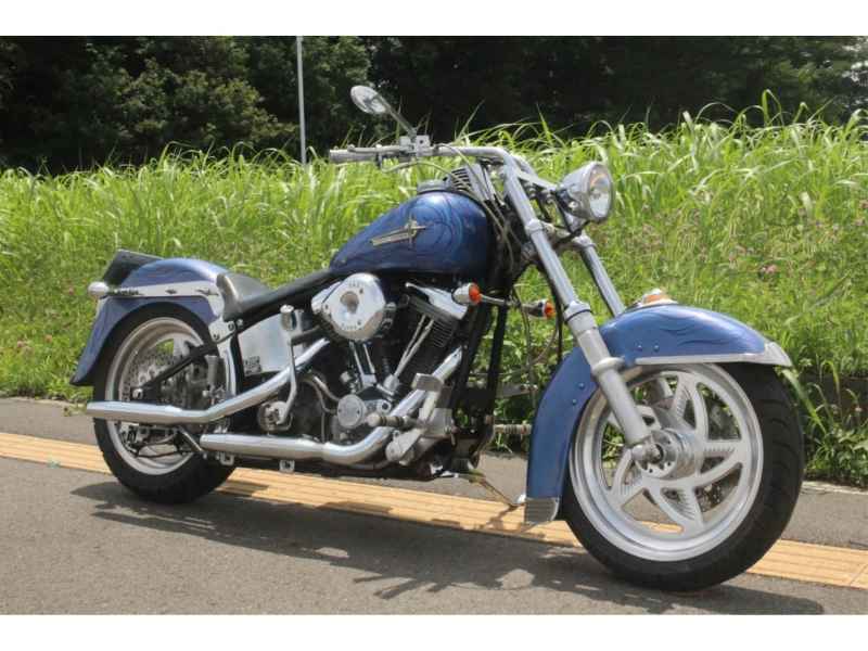 Harley-Davidson FXST 2001