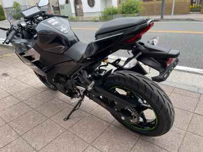 Kawasaki Ninja 250 2022